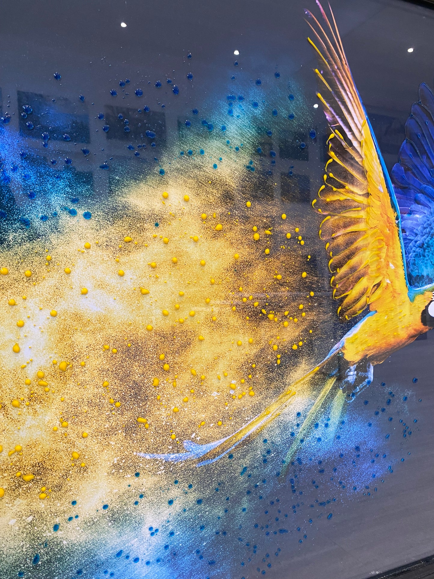 Close-up of a parrot with yellow and blue patterns on a dark background.