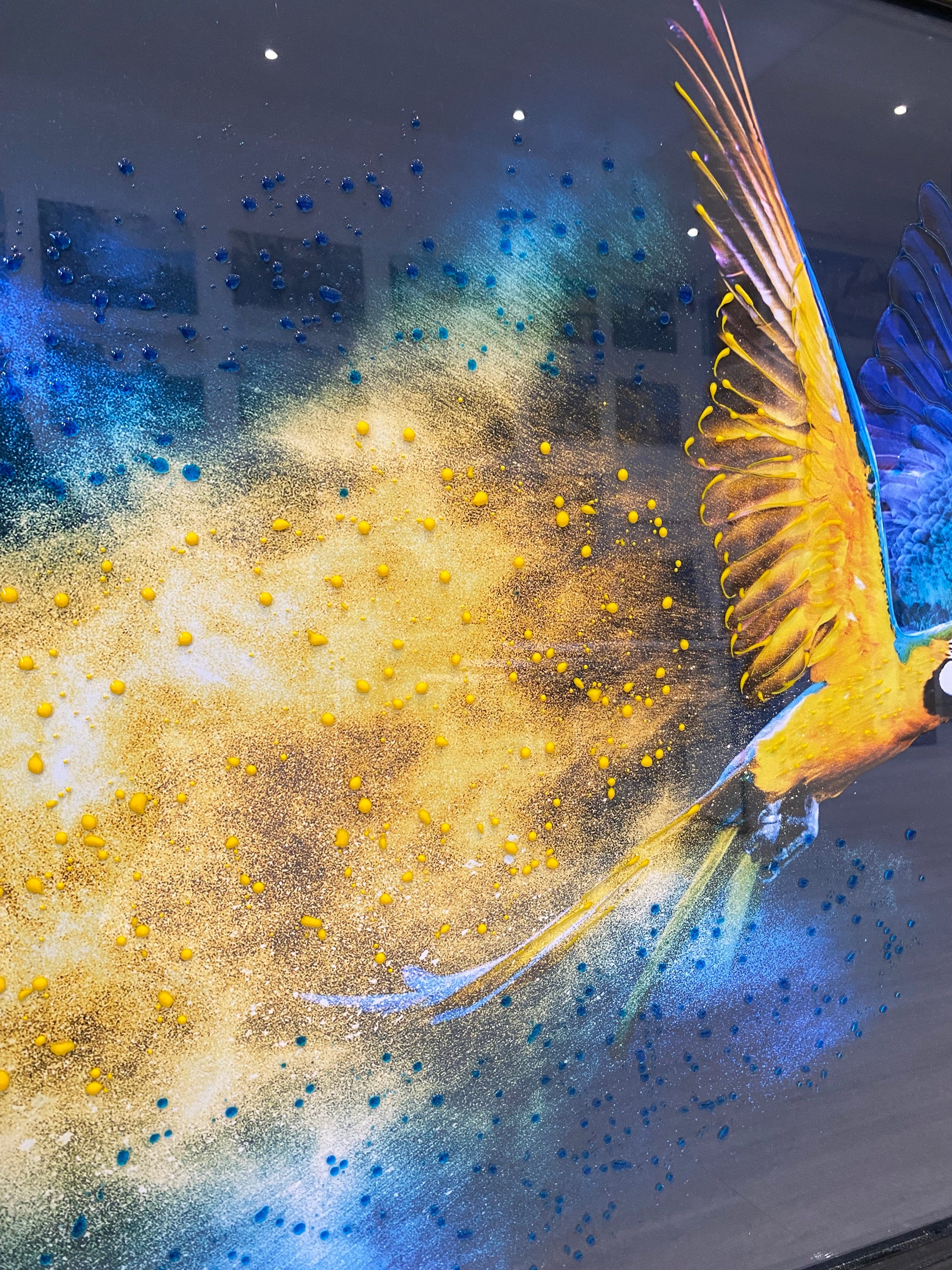 Close-up of a parrot with yellow and blue patterns on a dark background.