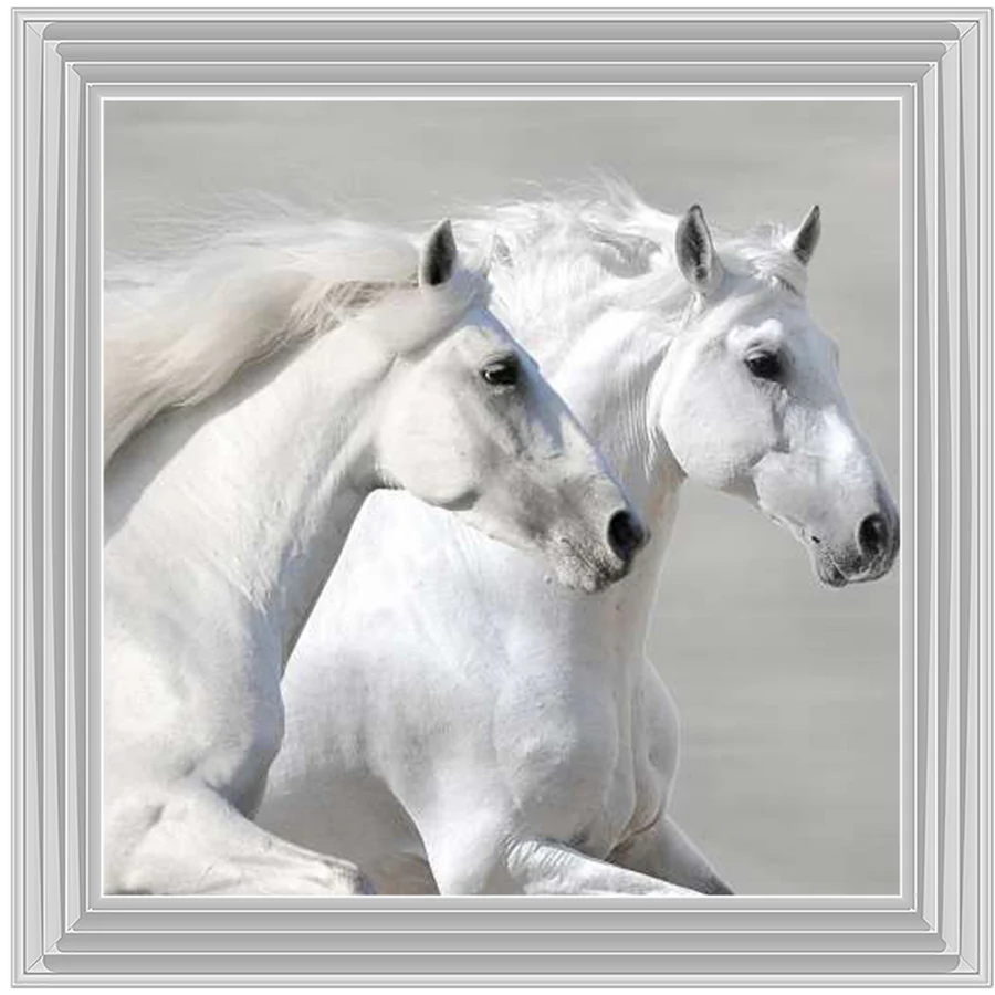 Framed wall art of two white horses standing close together on a light gray background.