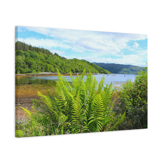 Landscape with a lake, trees, and ferns on a clear day