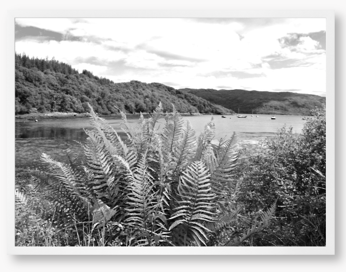 Framed black and white photograph of a lake with mountains and ferns.