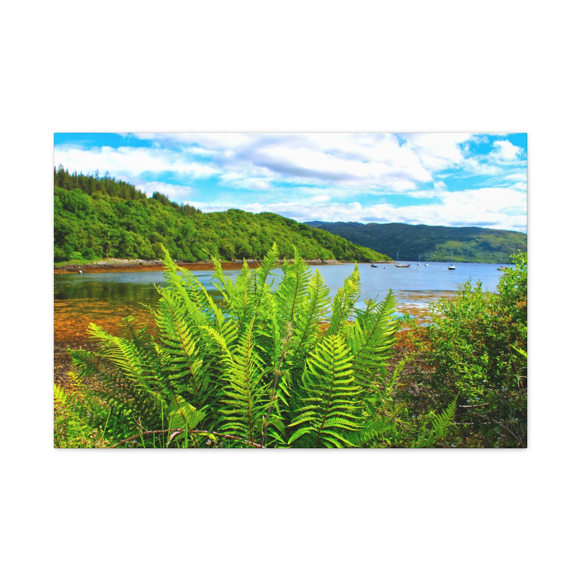 Lush green ferns in the foreground with a scenic lake and mountains in the background.