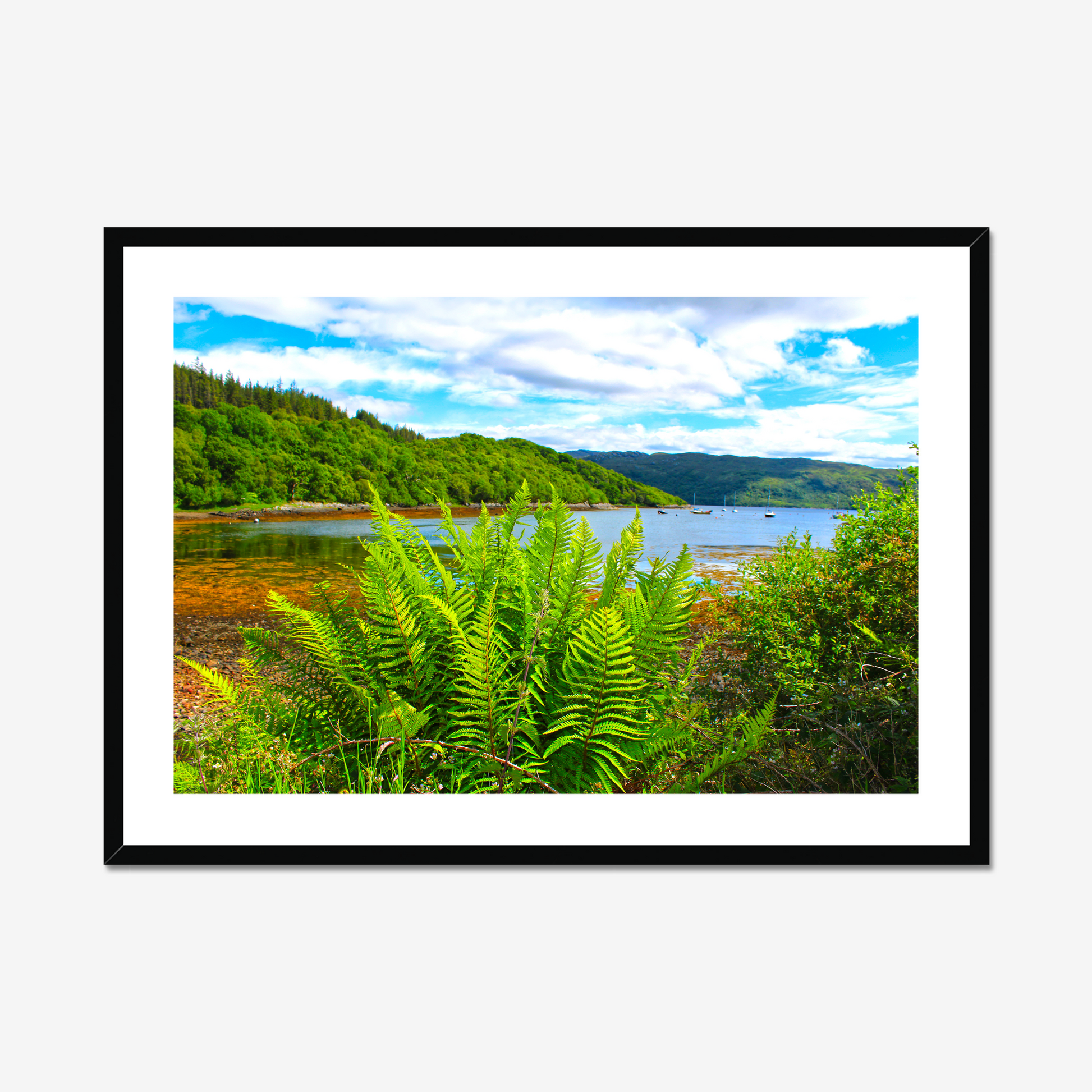 Framed photograph of a scenic landscape with a lake and forest.