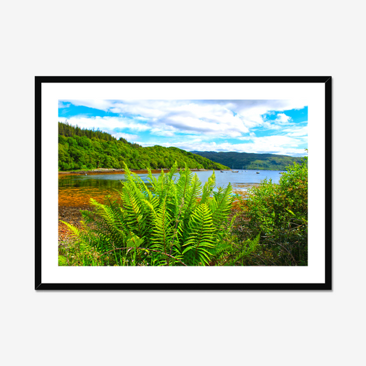 Framed photograph of a scenic landscape with a lake and forest.