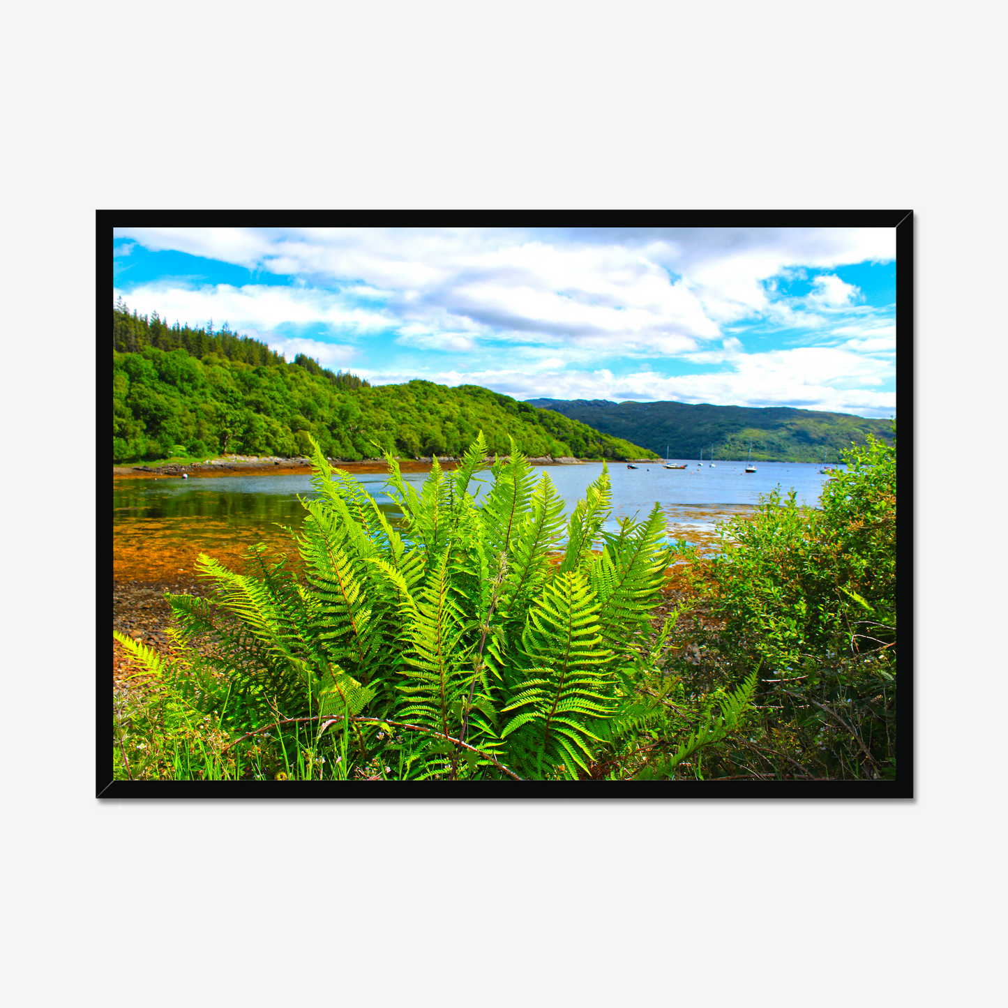 Framed photograph of a scenic landscape with a lake and forest.