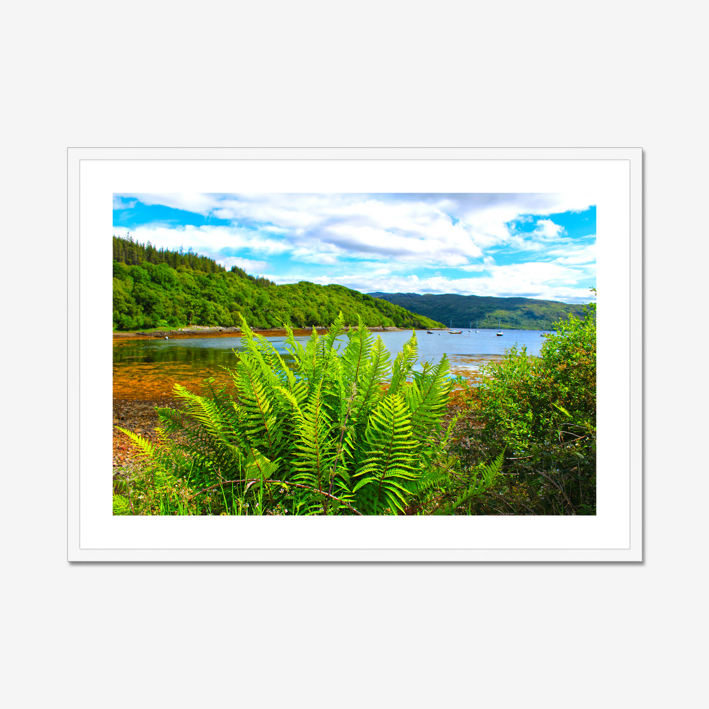 Framed photograph of a scenic landscape with a lake and forest.