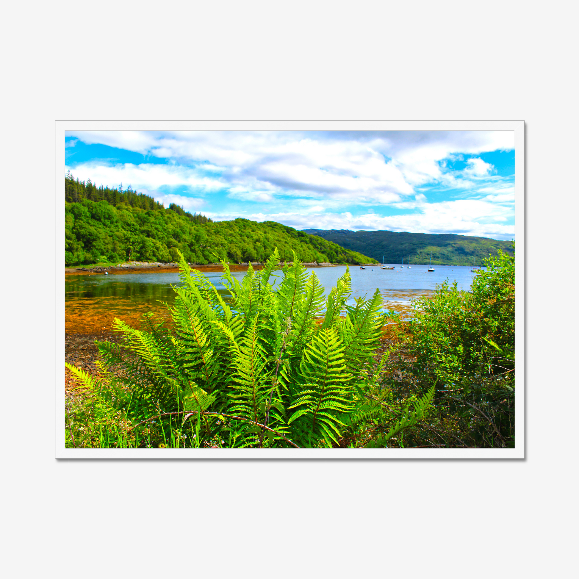 Framed photograph of a scenic landscape with a lake and forest.