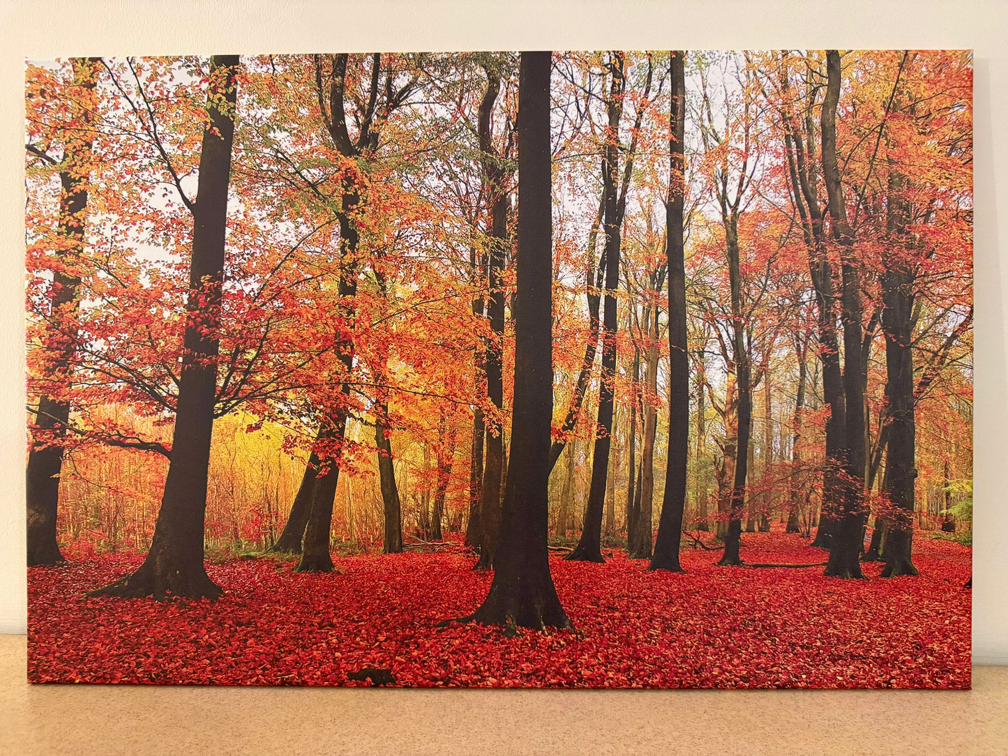 Delamere Autumn Woodlands - Print