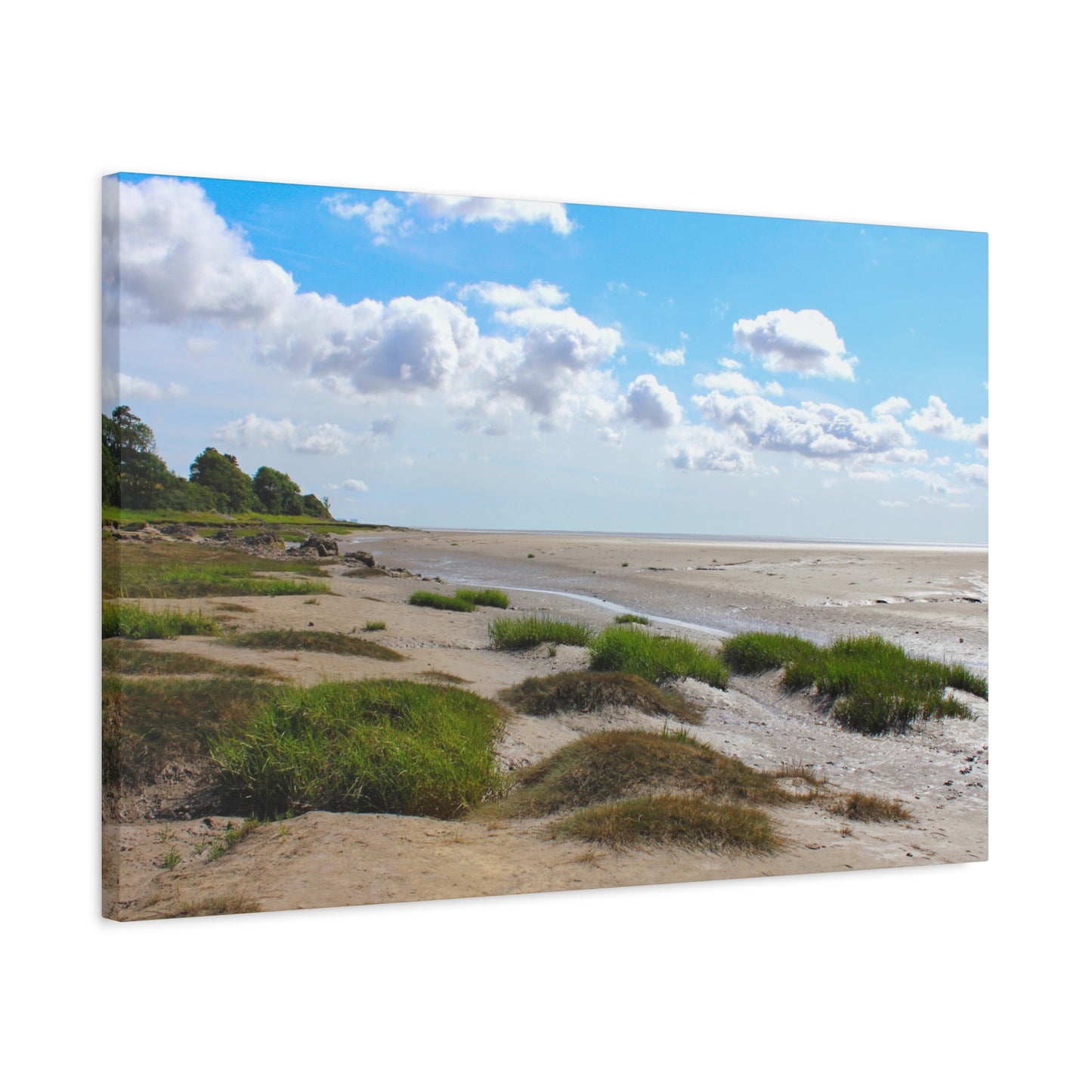Beach scene with grassy dunes and a blue sky with clouds
