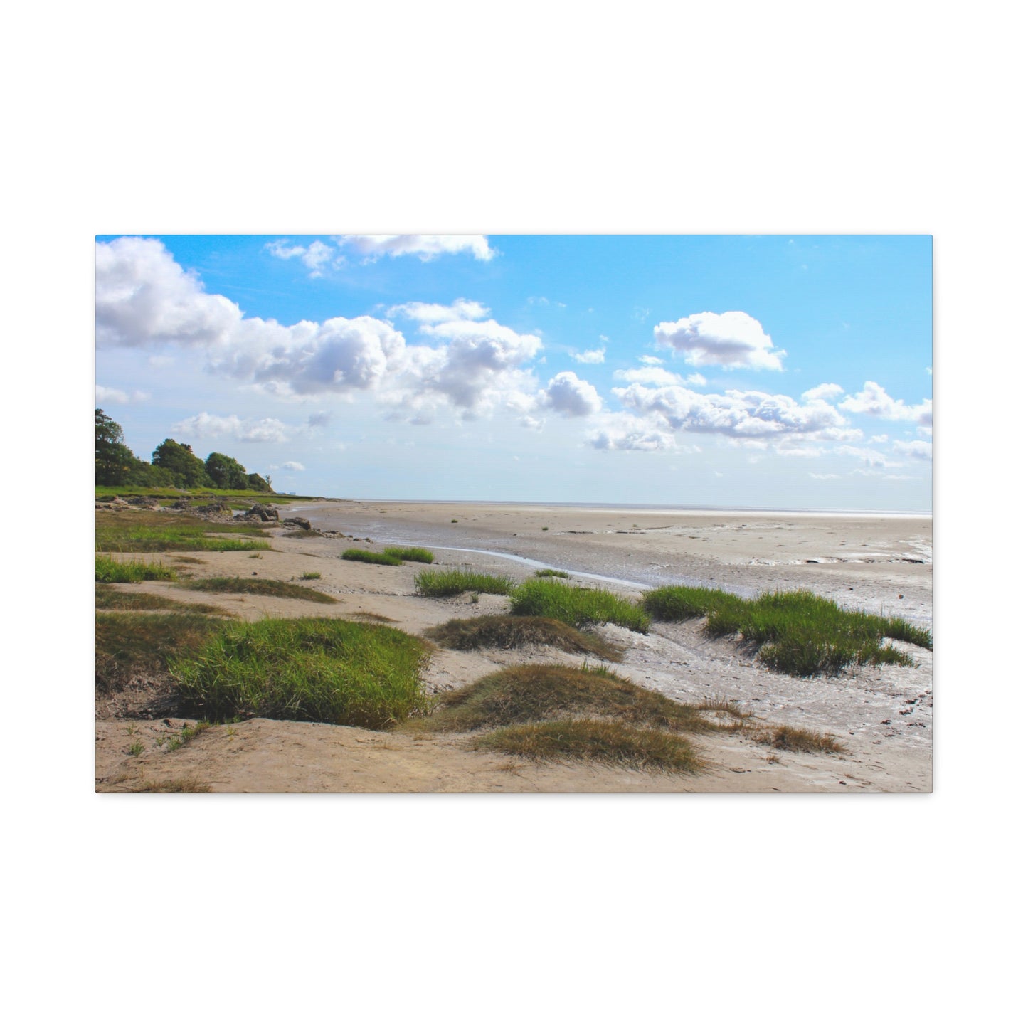 Beach landscape with sand, grass, and a blue sky with clouds
