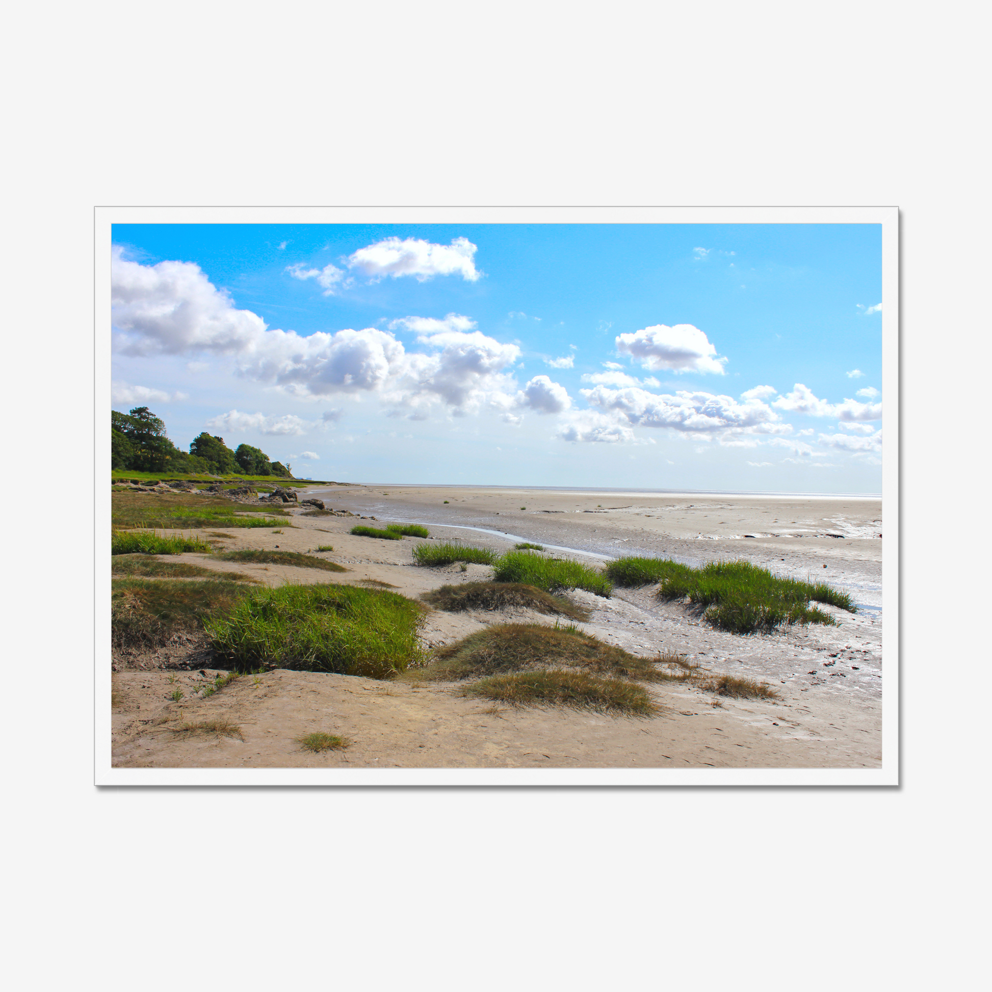 Framed photograph of a coastal landscape with sandy terrain and green shrubs under a blue sky with clouds.