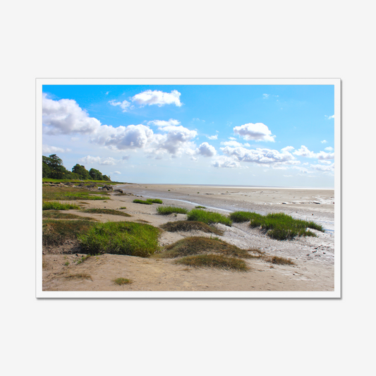 Framed photograph of a coastal landscape with sandy terrain and green shrubs under a blue sky with clouds.
