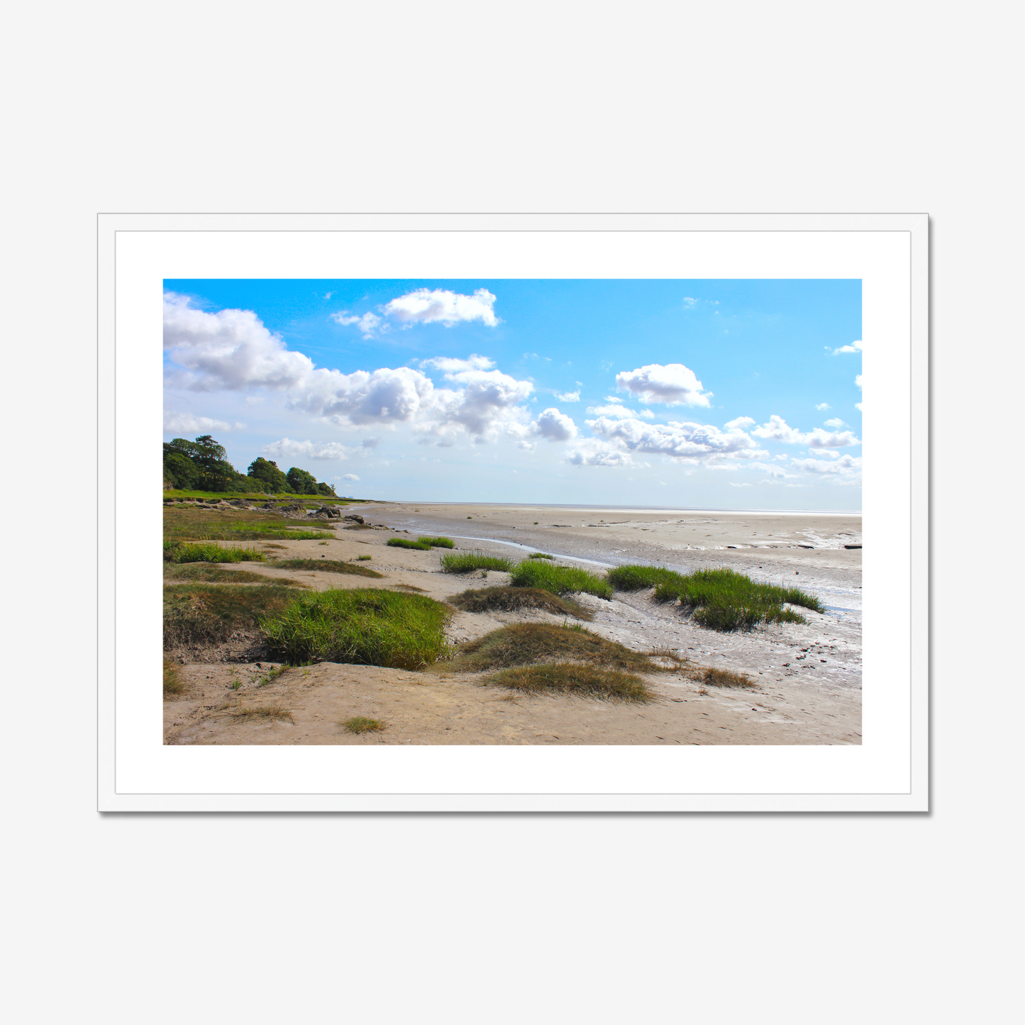 Framed photograph of a coastal landscape with sandy terrain and green shrubs under a blue sky with clouds.