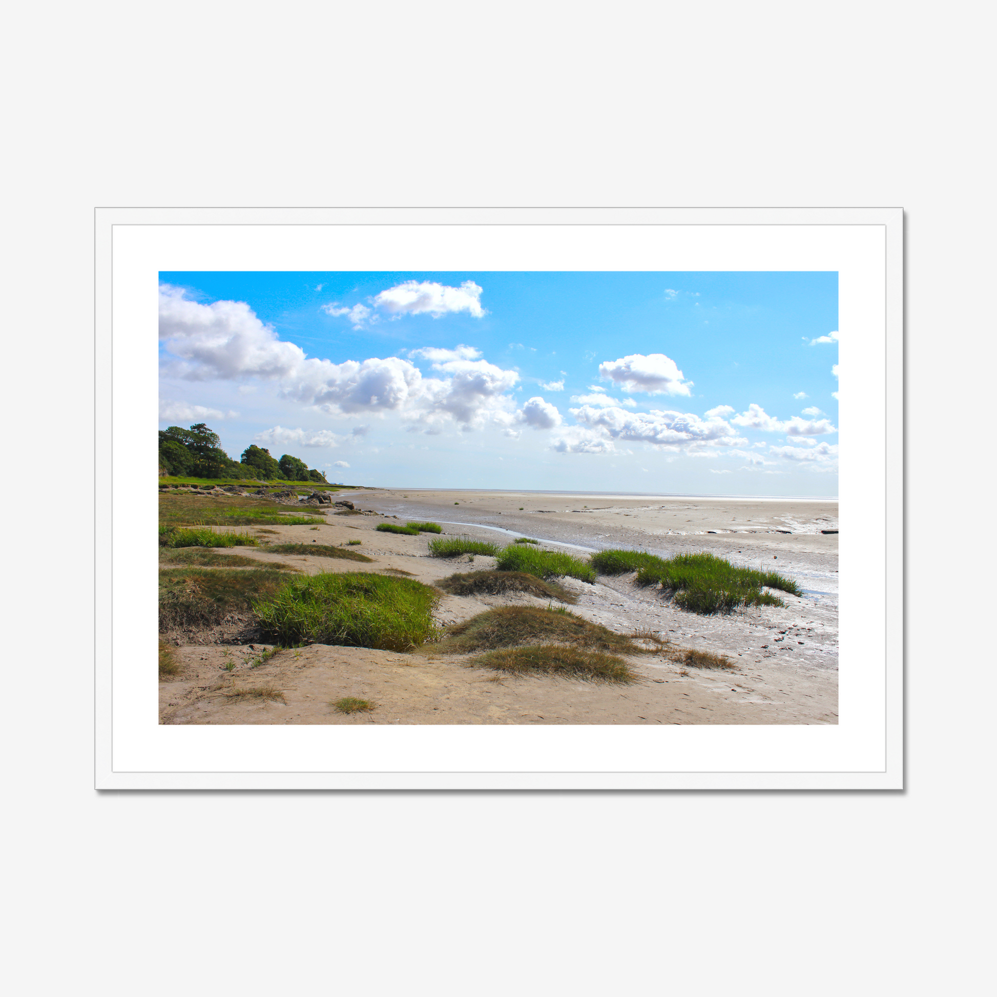Framed photograph of a coastal landscape with sandy terrain and green shrubs under a blue sky with clouds.