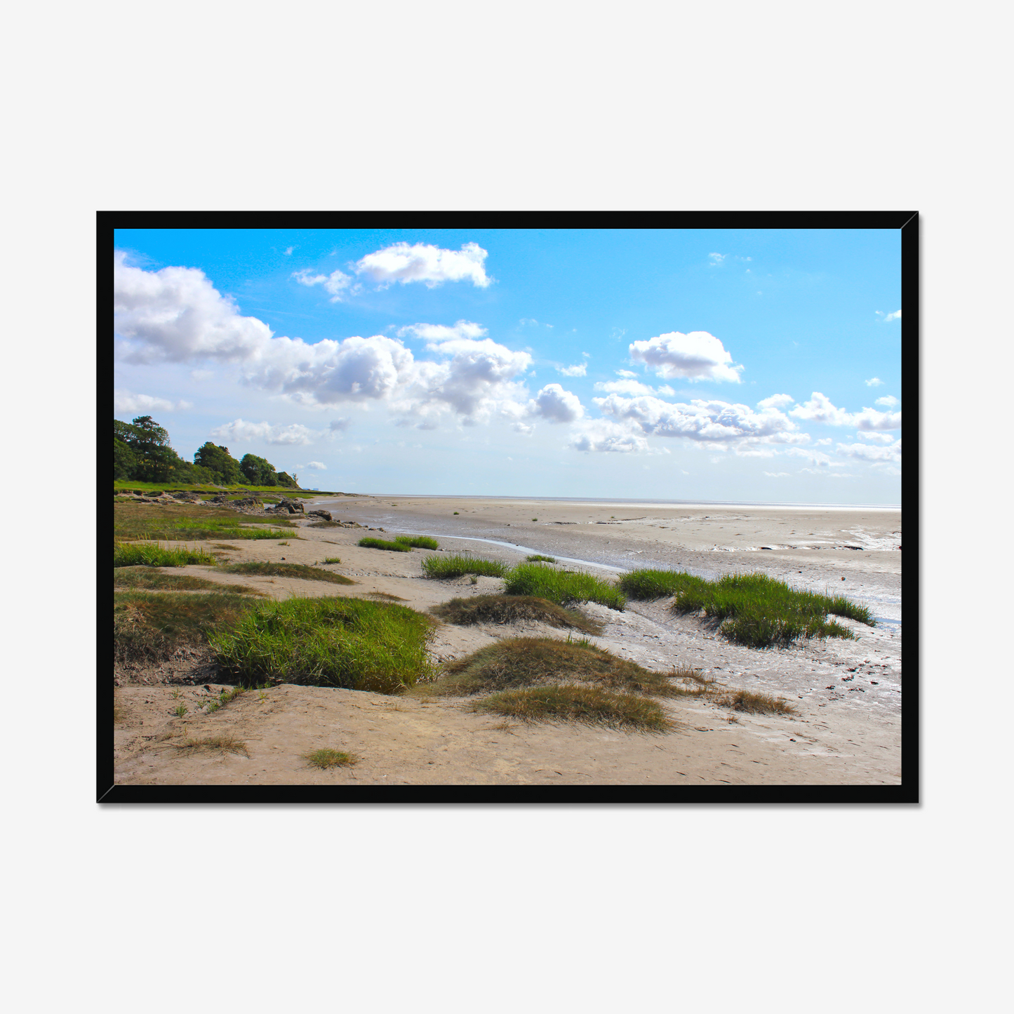 Framed photograph of a coastal landscape with sandy terrain and green shrubs under a blue sky with clouds.