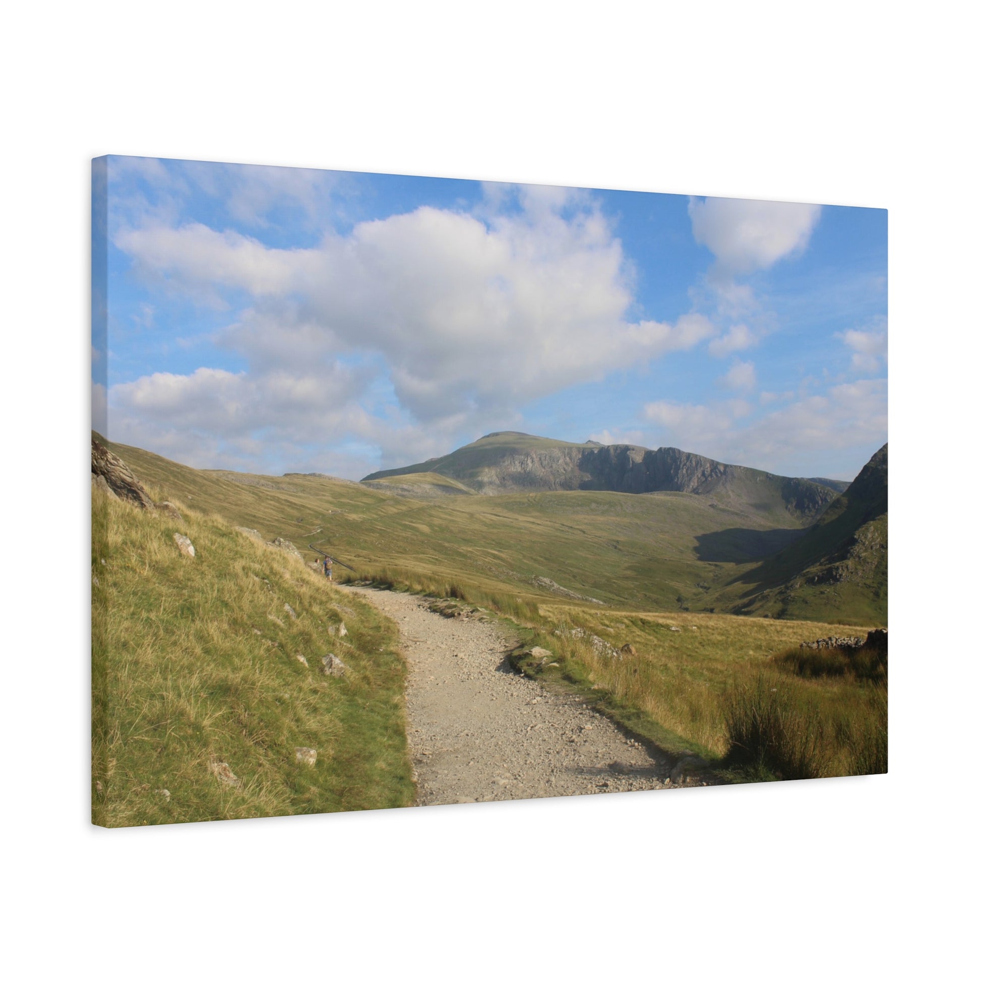 Scenic view of a mountain landscape with a path leading towards the mountains under a blue sky.