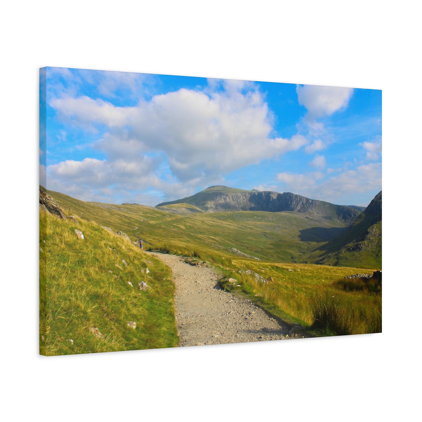 Scenic view of a mountain landscape with a clear blue sky and a path leading towards the mountains.