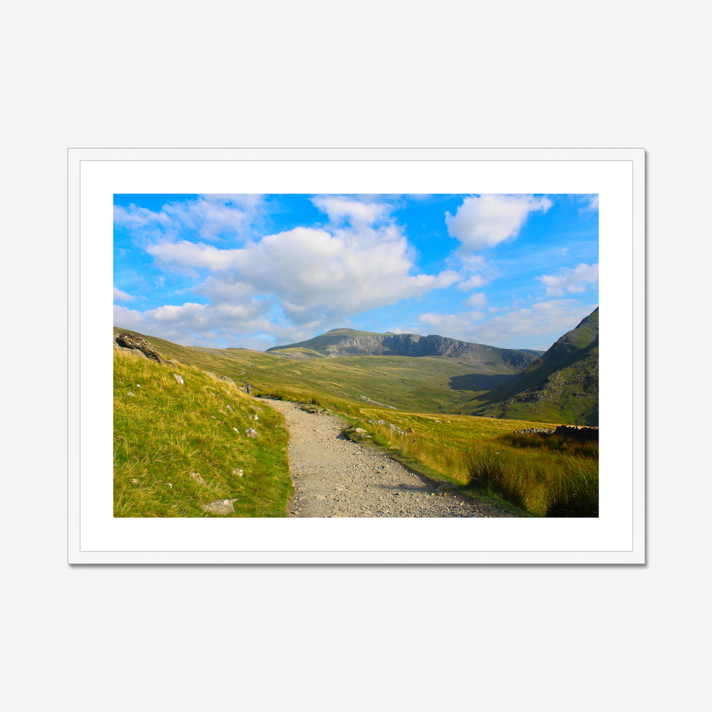 Scenic view of a mountain landscape with a clear blue sky and a path leading towards the mountains.