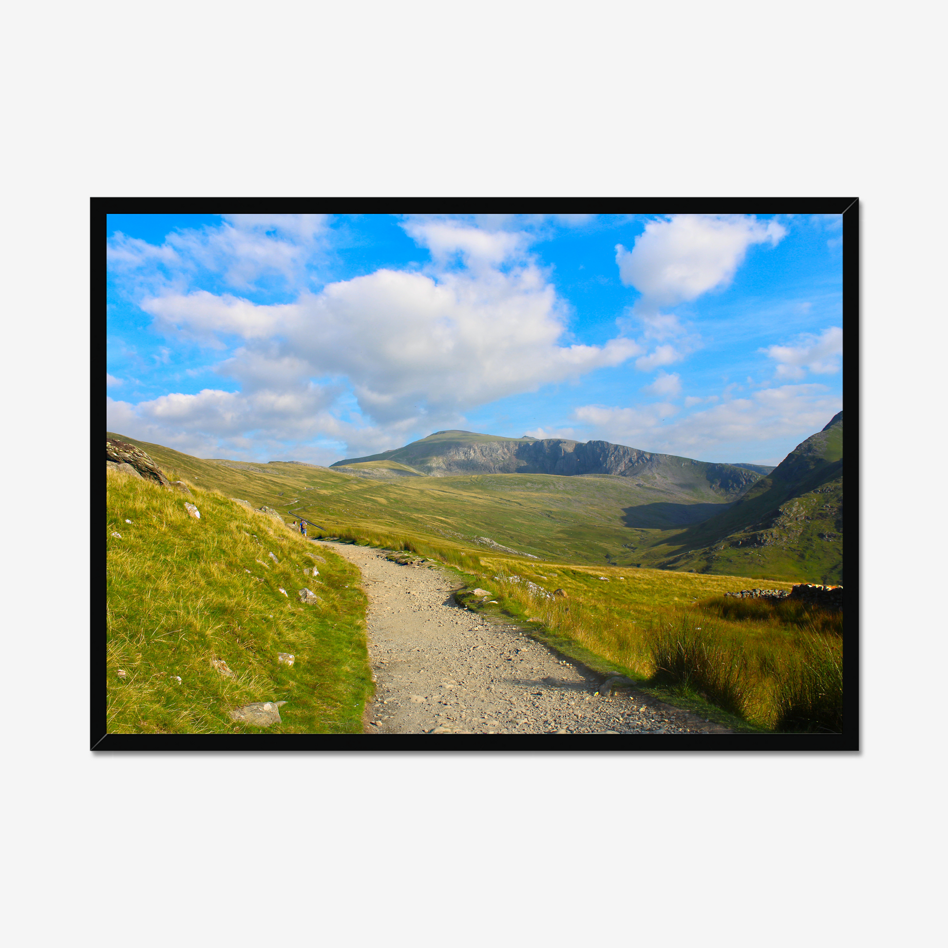 Scenic view of a mountain landscape with a clear blue sky and a path leading towards the mountains.