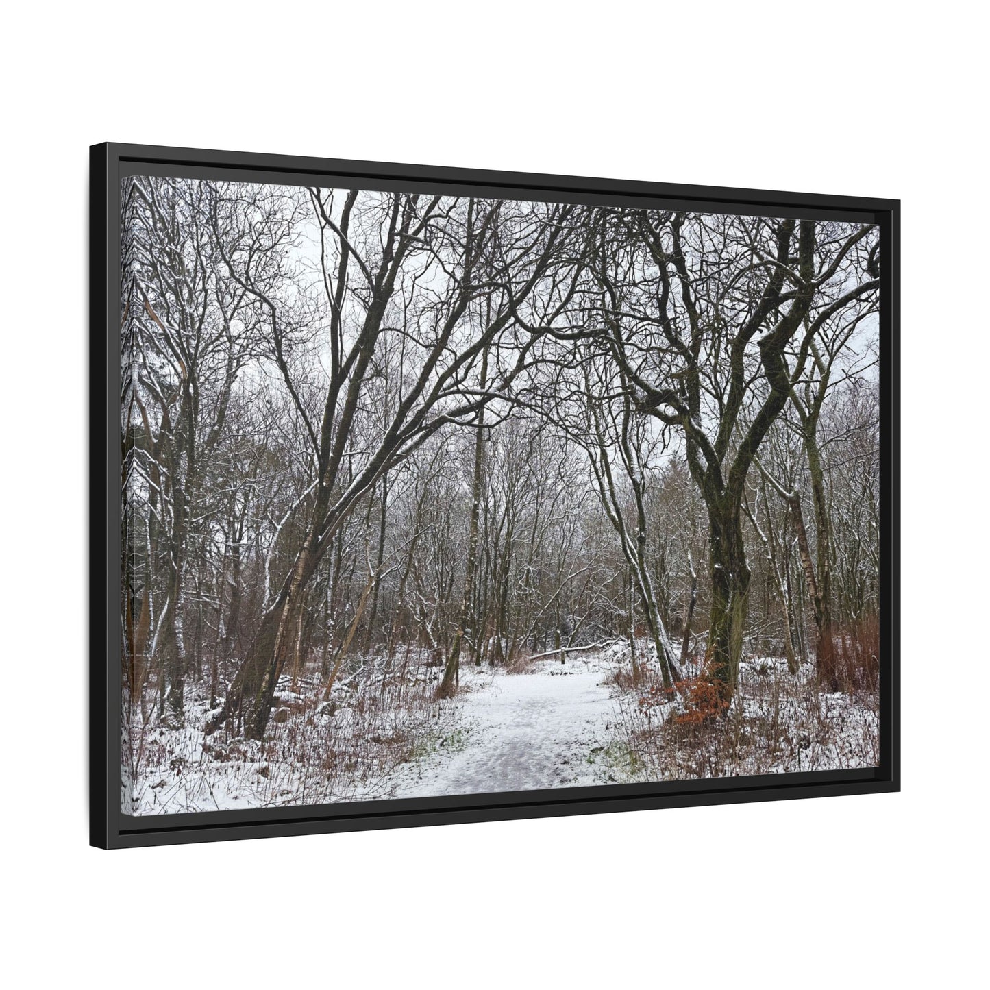 Framed photograph of a snowy forest path with bare trees.