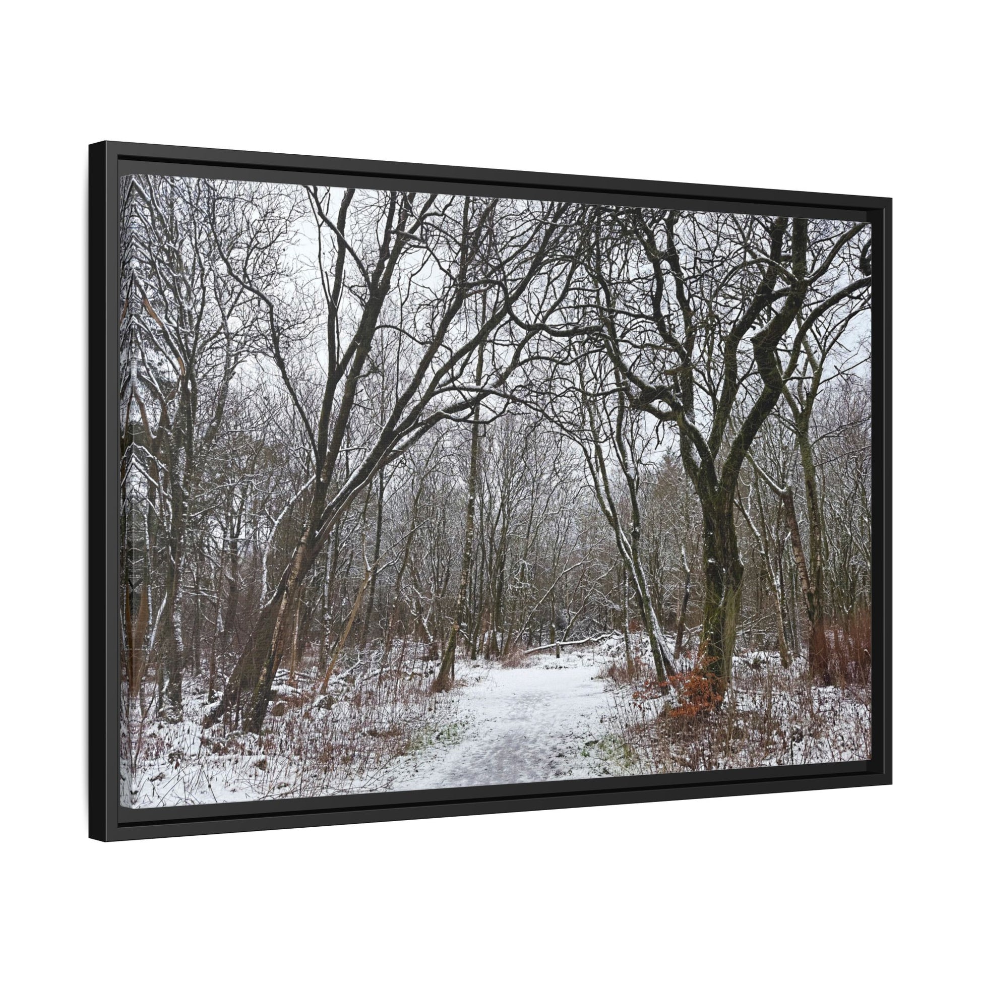 Framed photograph of a snowy forest path with bare trees.