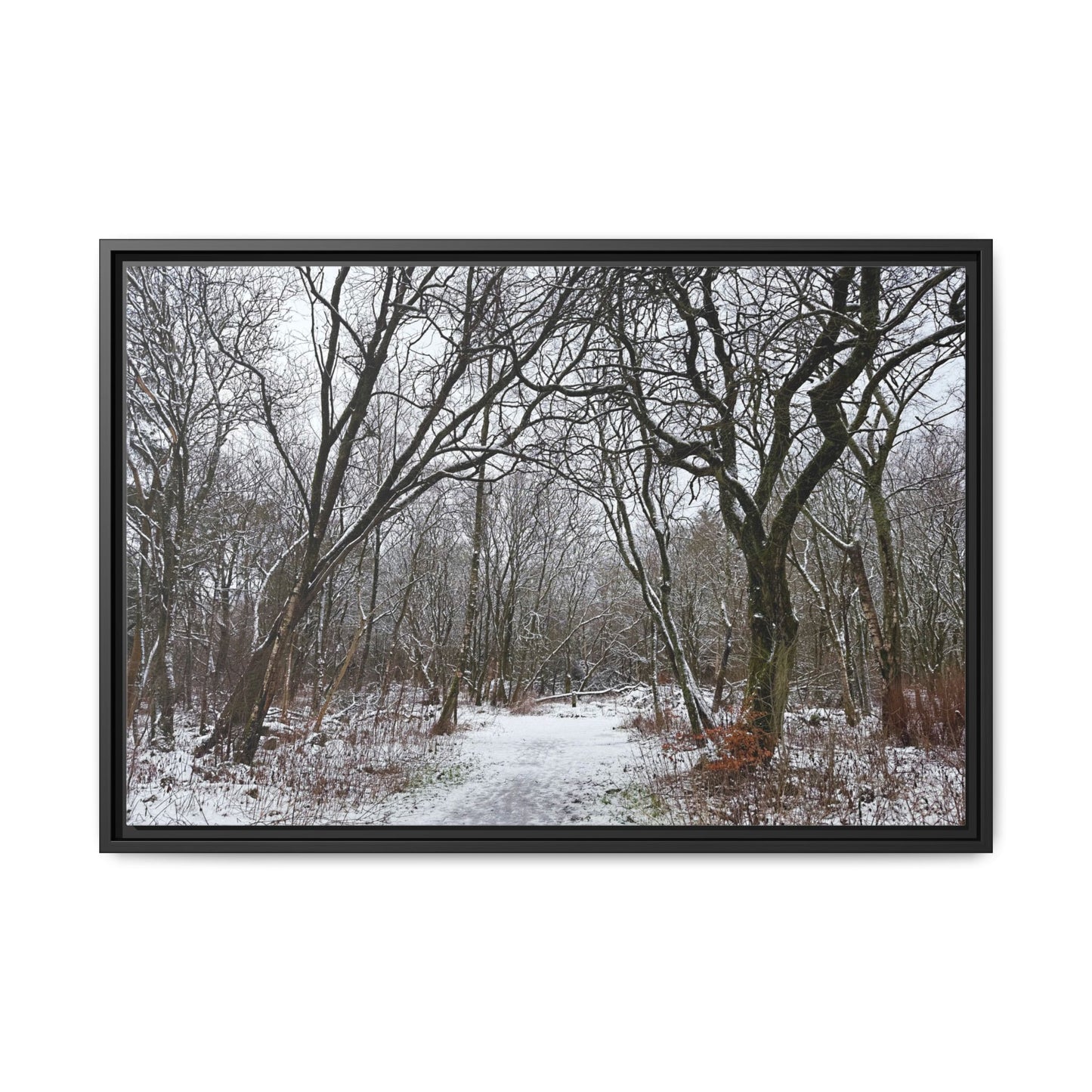 Framed photograph of a snowy forest path with bare trees.