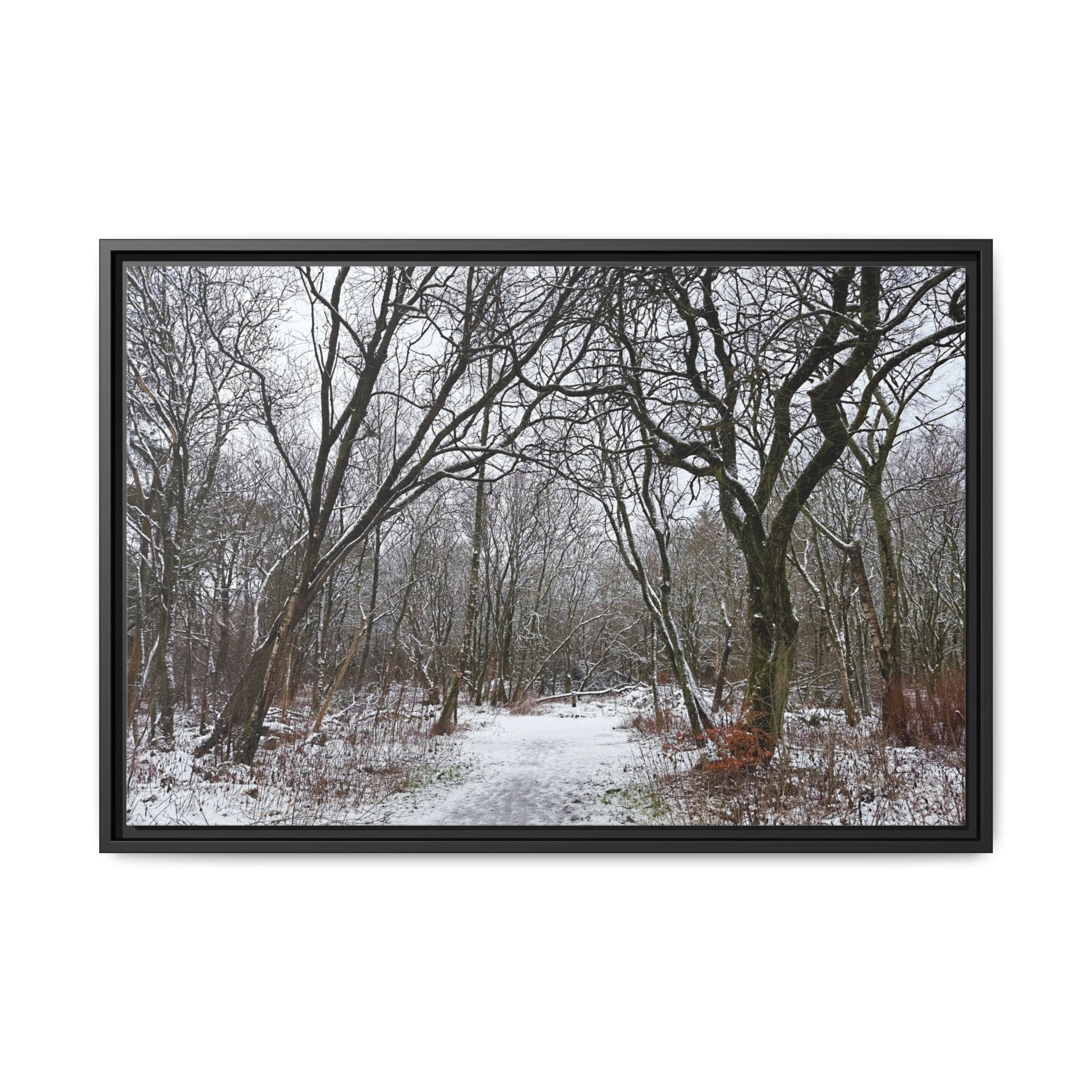 Framed photograph of a snowy forest path with bare trees.