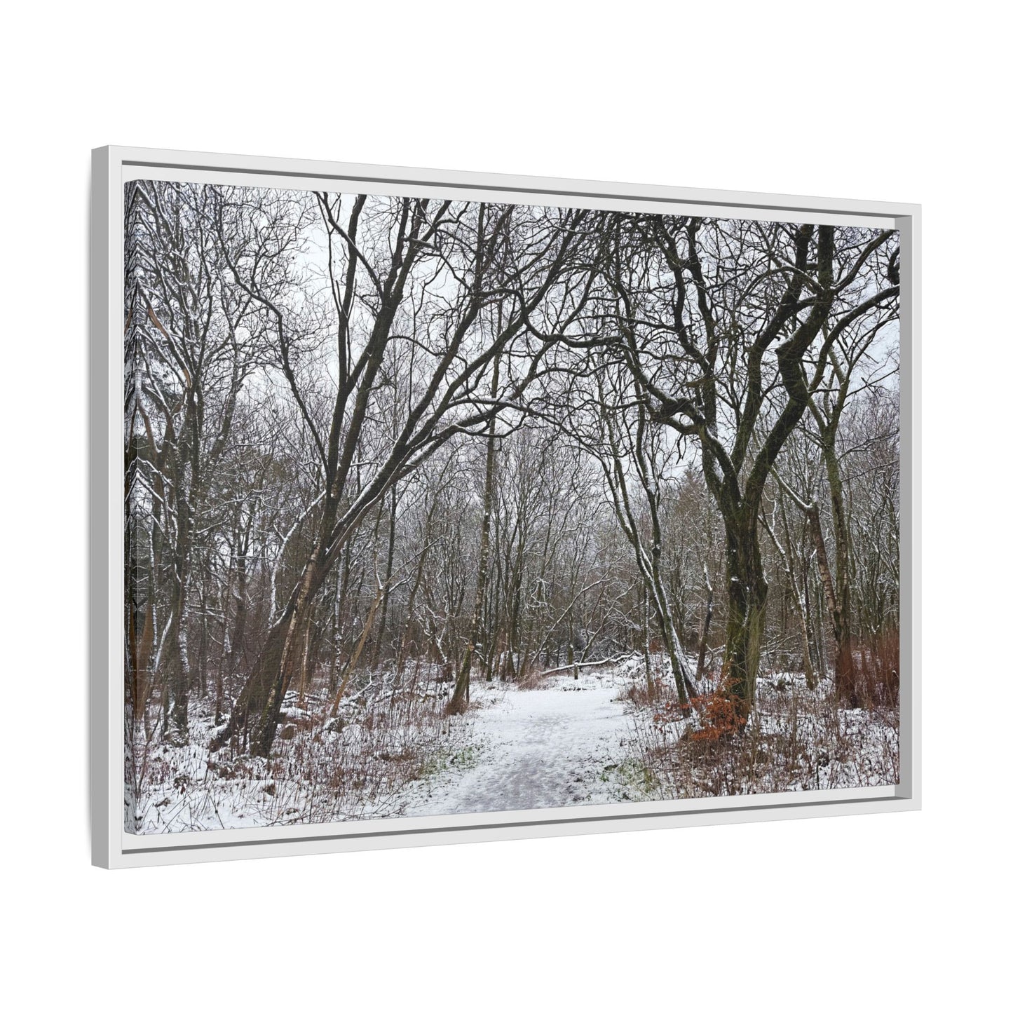 Framed photograph of a snowy forest path with bare trees.