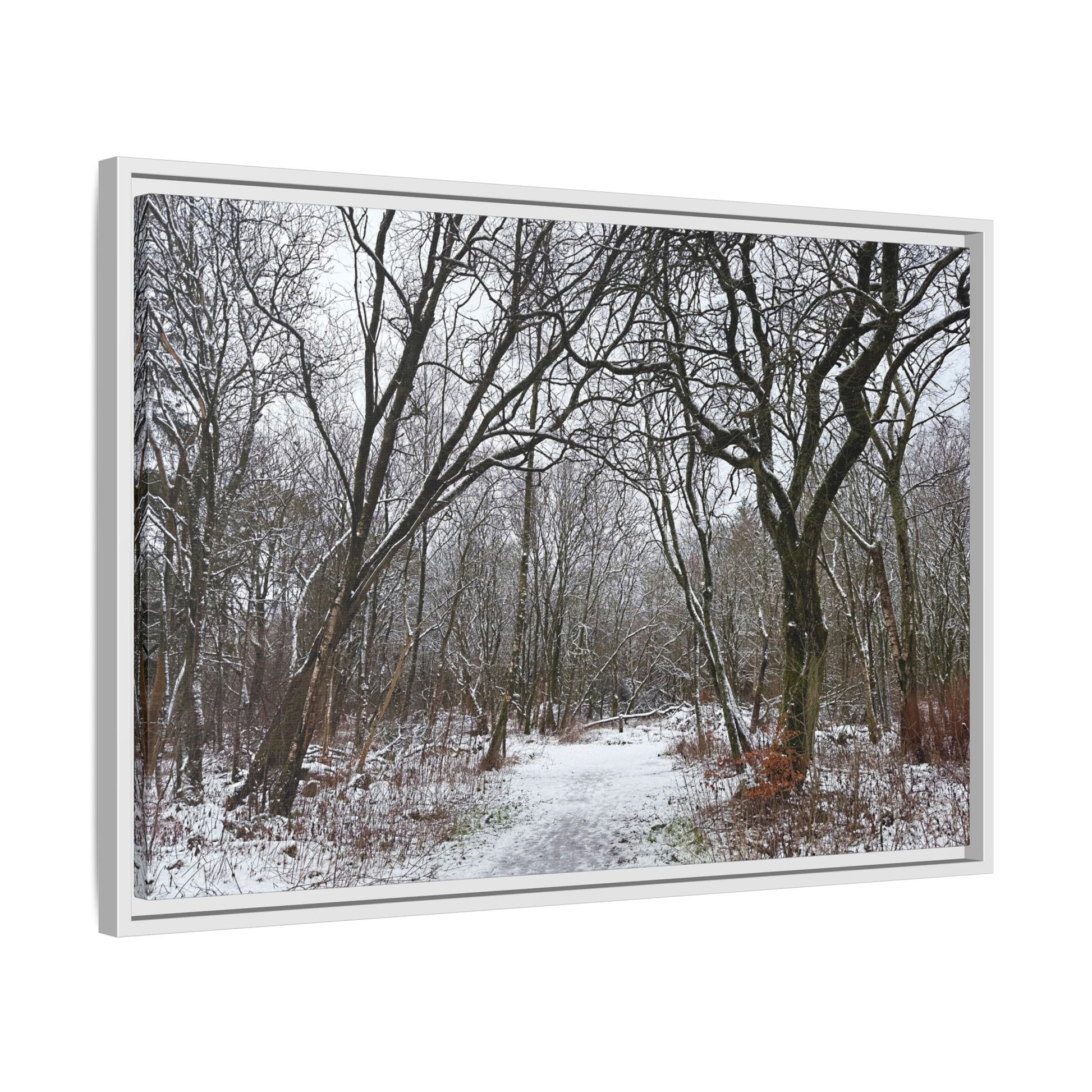 Framed photograph of a snowy forest path with bare trees.