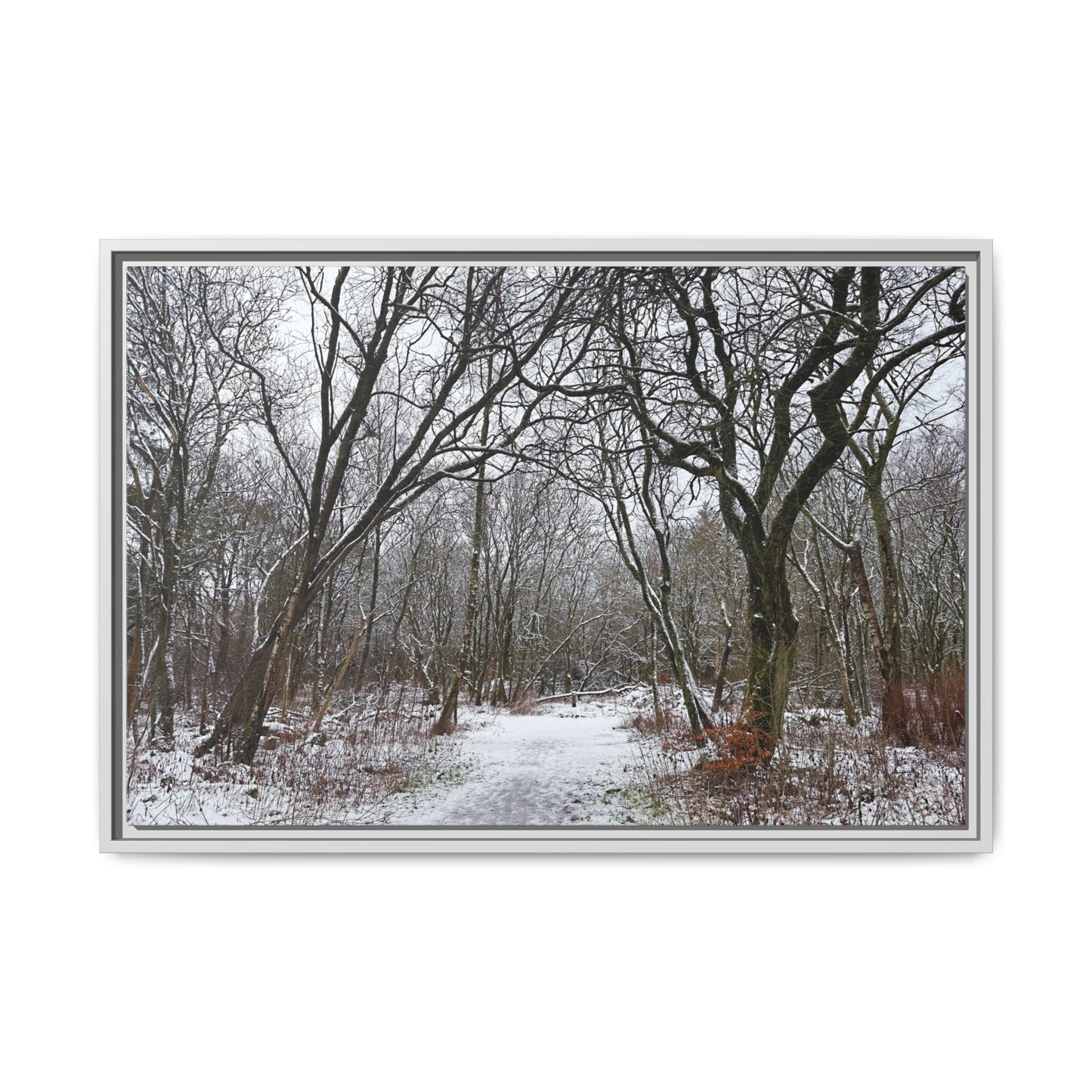 Framed photograph of a snowy forest path with bare trees.