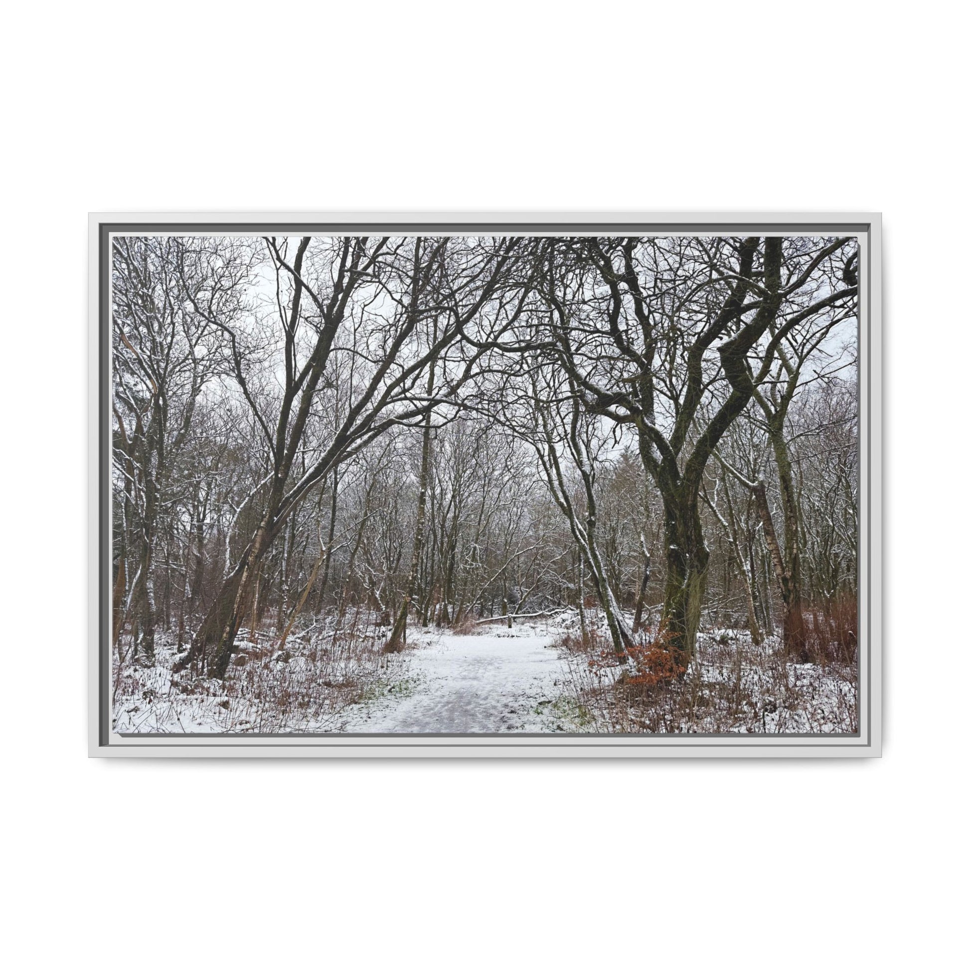 Framed photograph of a snowy forest path with bare trees.