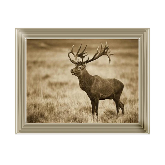 Gold framed picture of a highland stag.