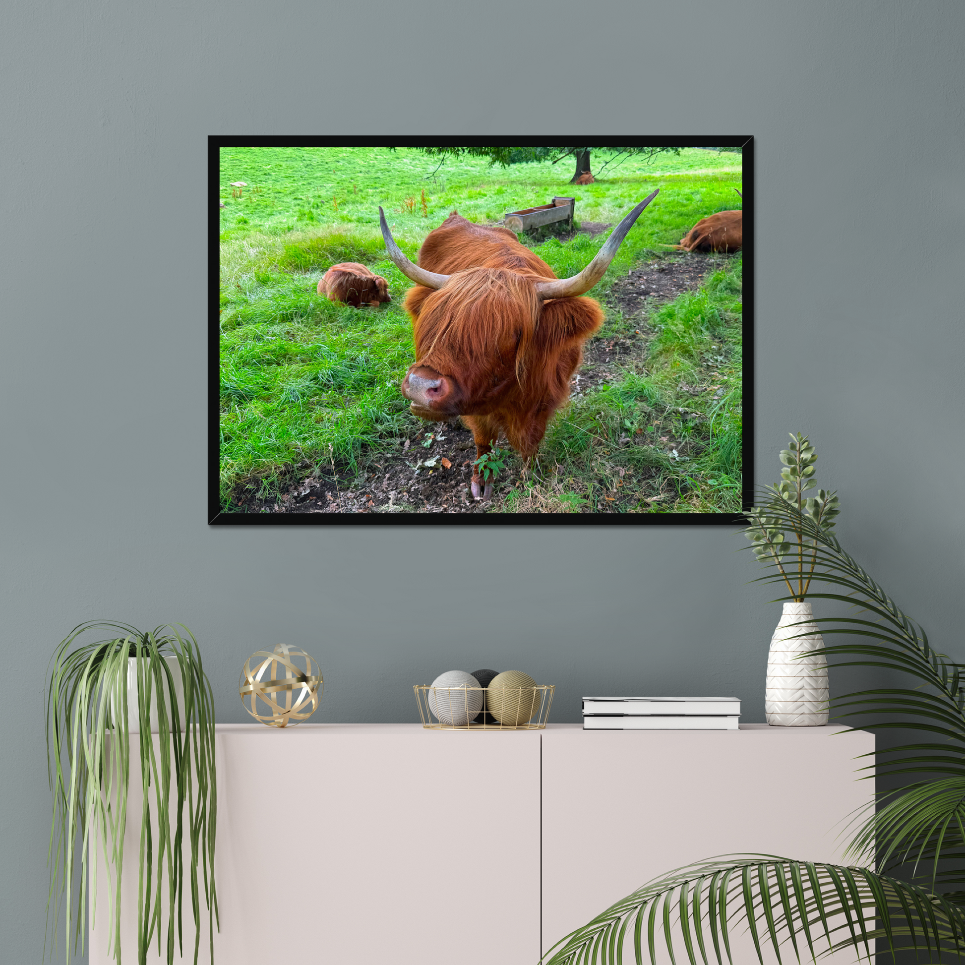 Framed picture of a Highland cow on a wall above a white cabinet with decorative items.