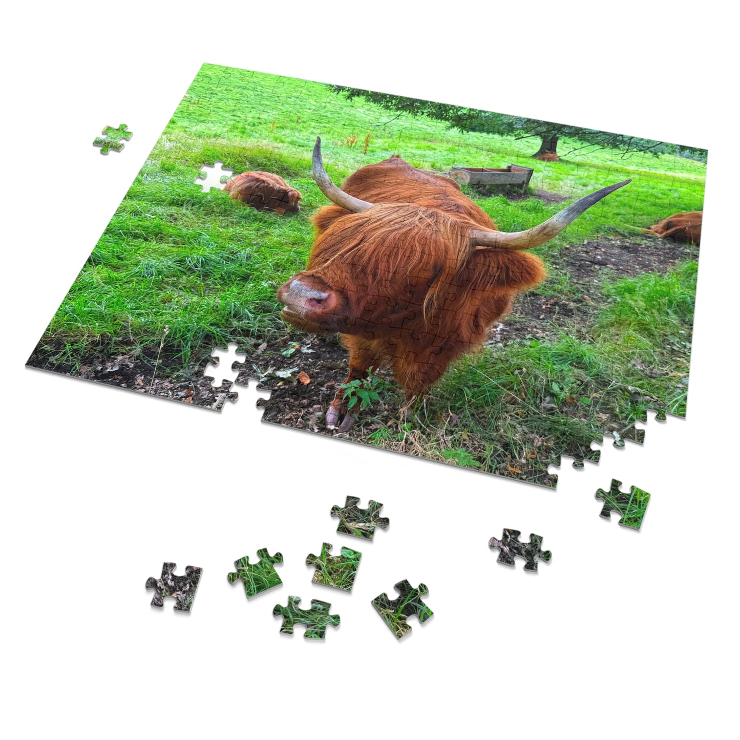 Jigsaw puzzle with a highland cow on a grassy field, some pieces missing.