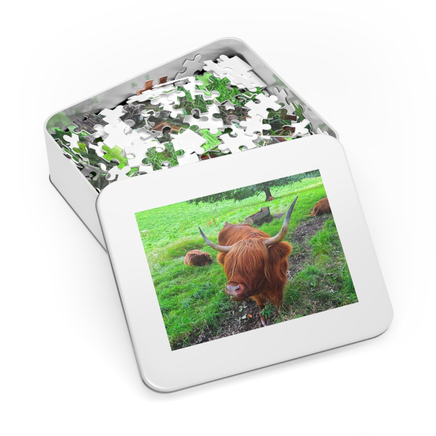 Jigsaw puzzle with a highland cow on a grassy field, partially completed, in a white tin.