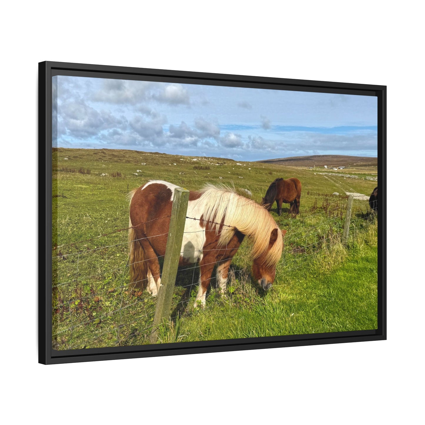 Horses grazing in a field with a scenic background