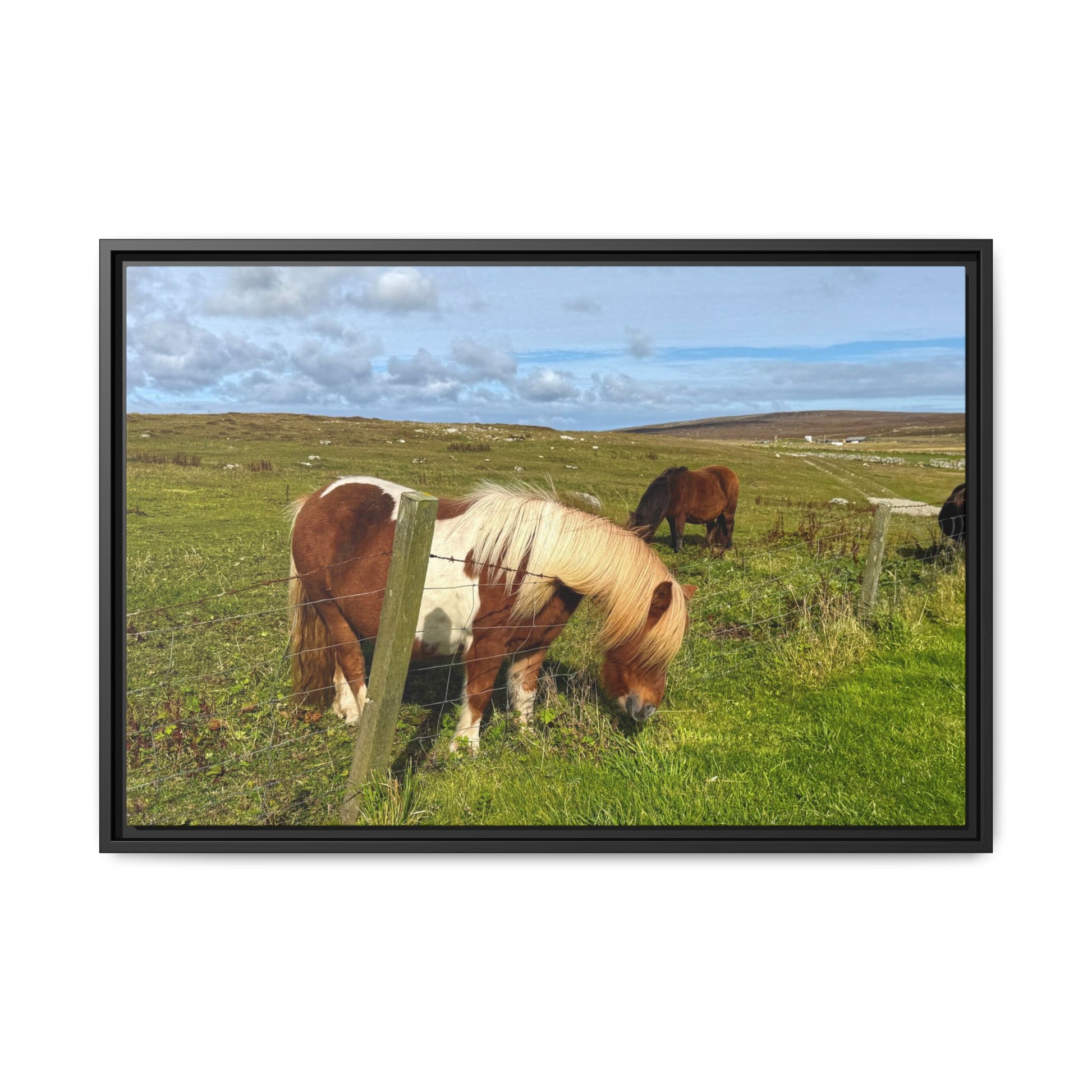 Horses grazing in a field with a clear sky, framed picture.