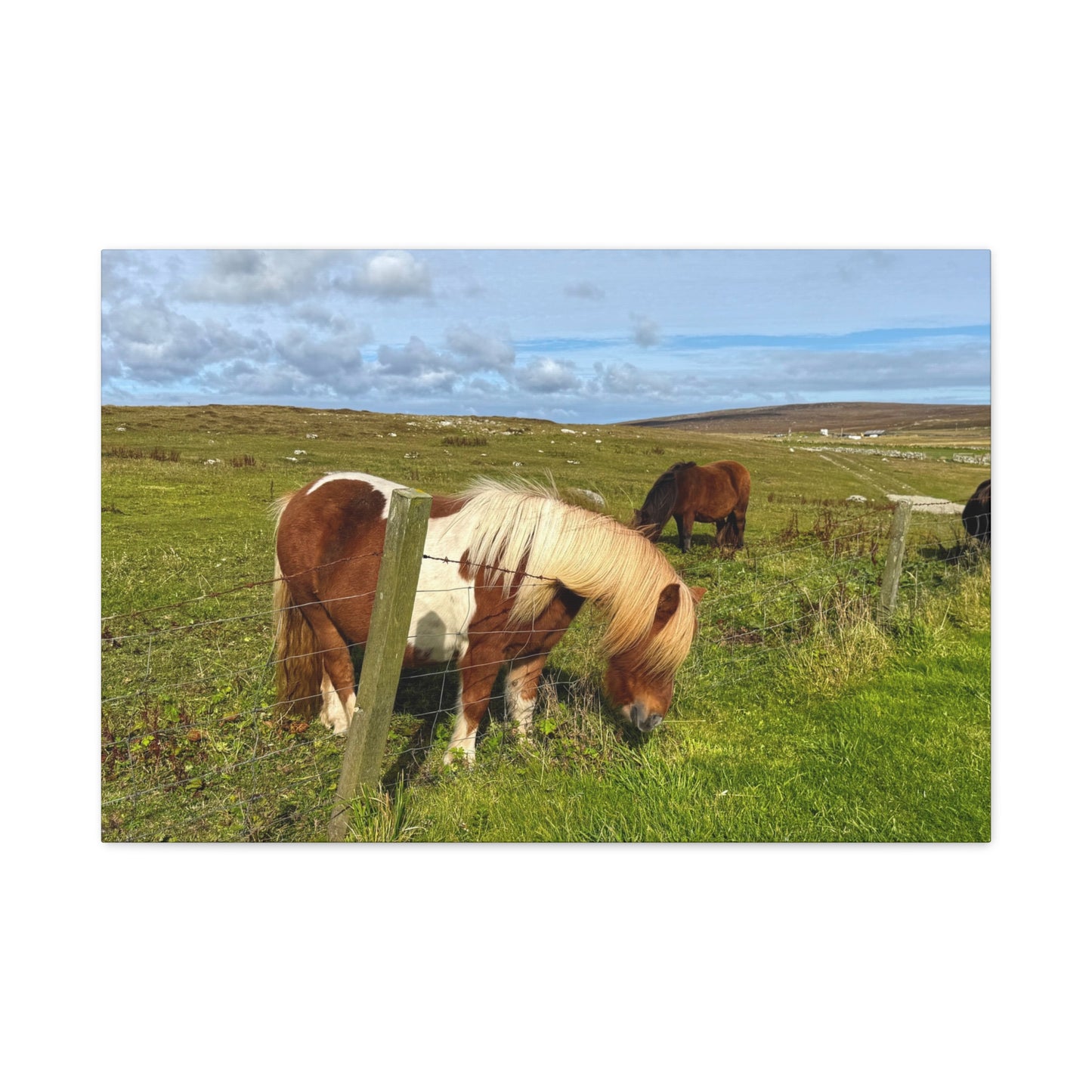 Horses grazing in a green field with a fence and landscape in the background