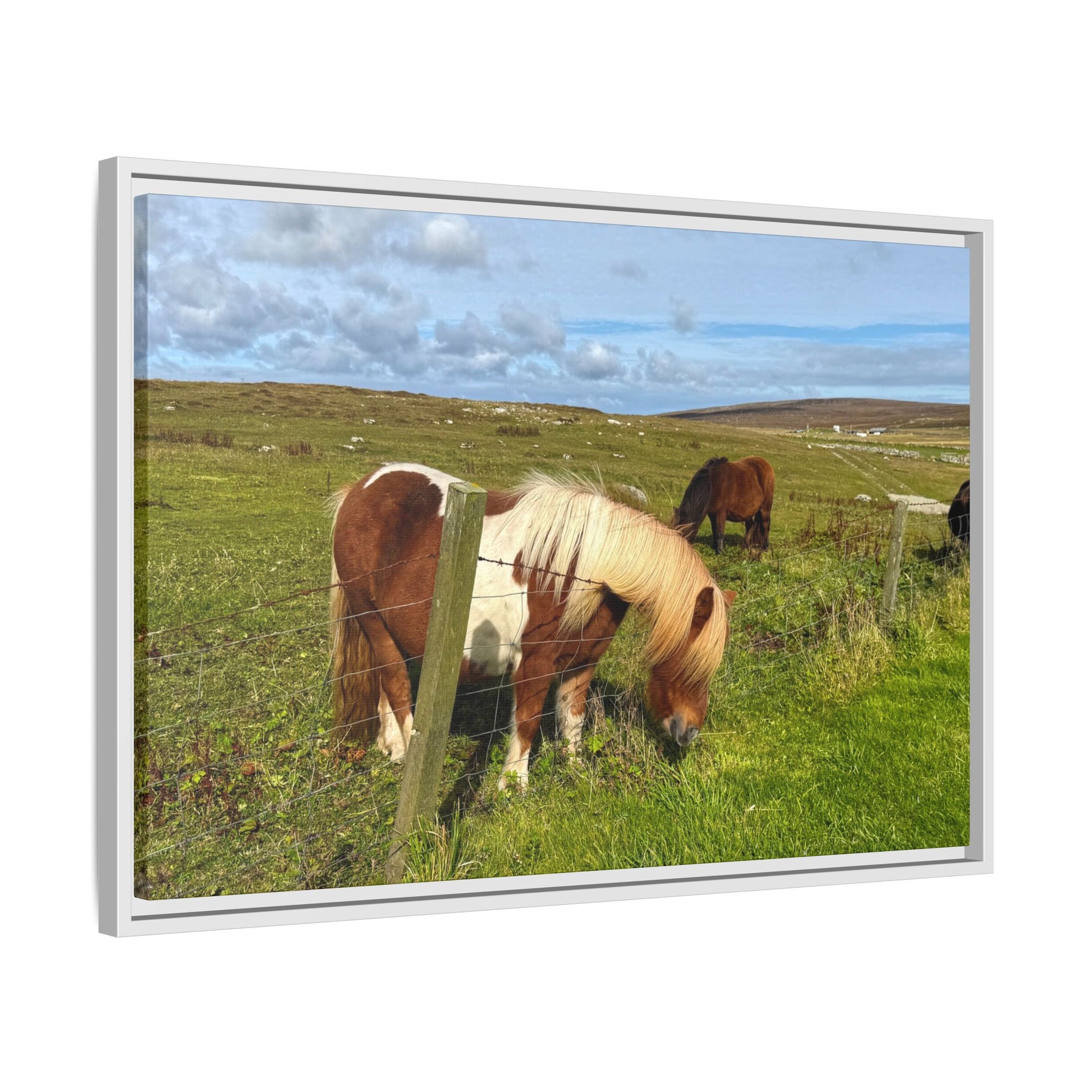 Horses grazing in a field with a scenic background