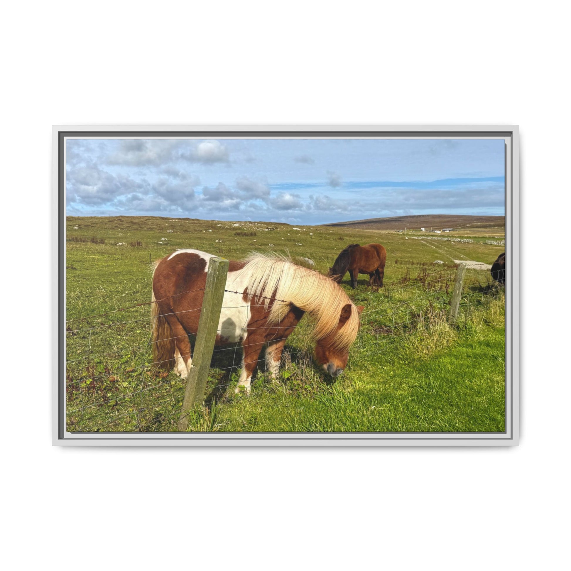 Horses grazing in a green field with a clear sky