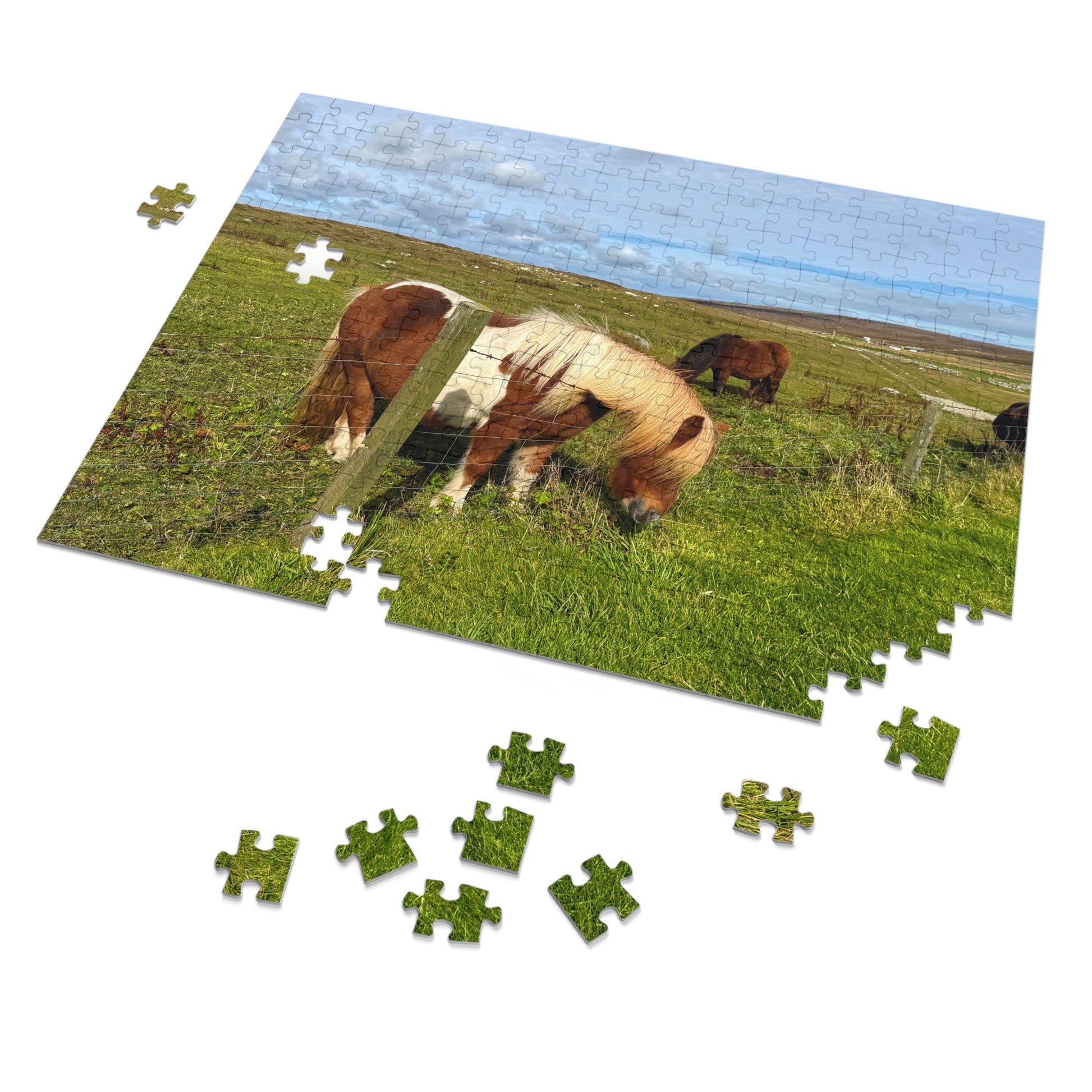 Jigsaw puzzle with horses in a field on a white background