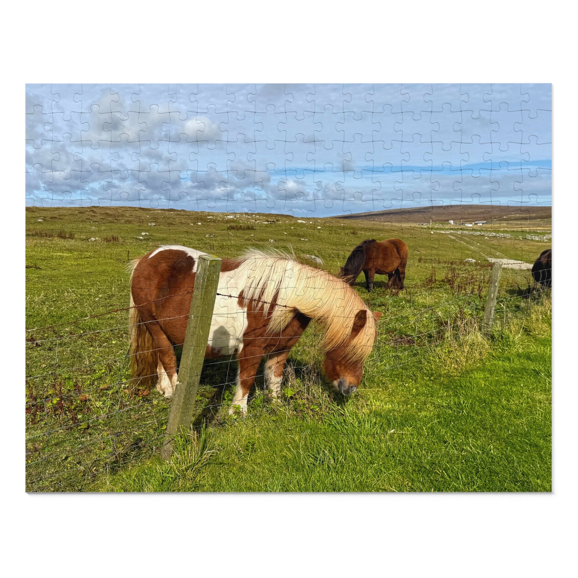 Jigsaw puzzle with horses in a field on a white background