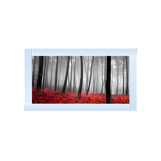Black & White Autumn Woods - Framed Picture