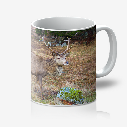 Mug with a deer in a natural setting on a white background