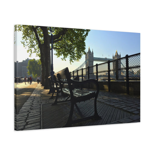 Bench by a tree with Tower Bridge in the background