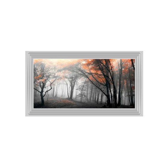 Black & White Autumn Woods II - Framed Picture